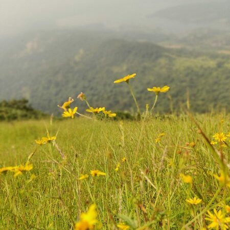 Sondai Fort Trek