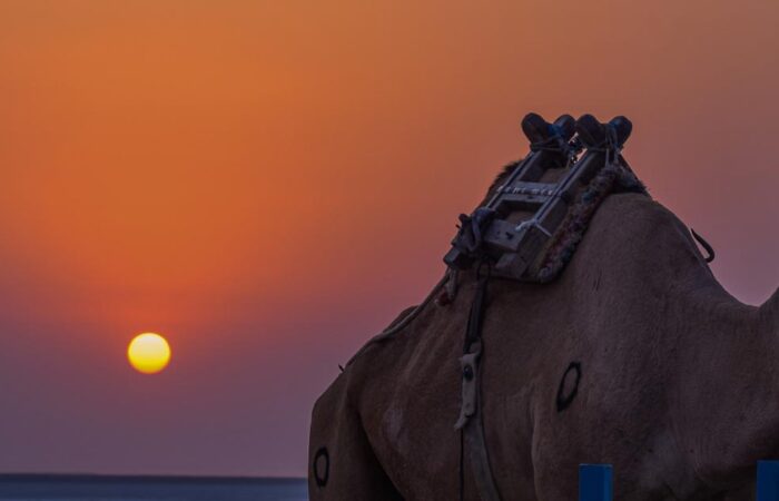 Rann of Kutch