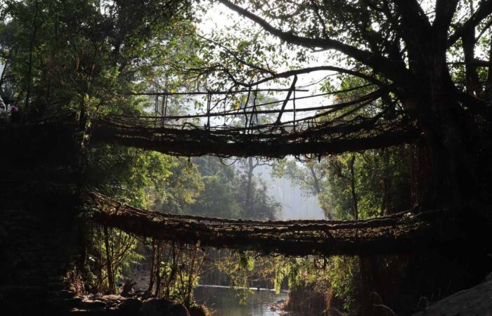 Meghalaya Kaziranga Cover
