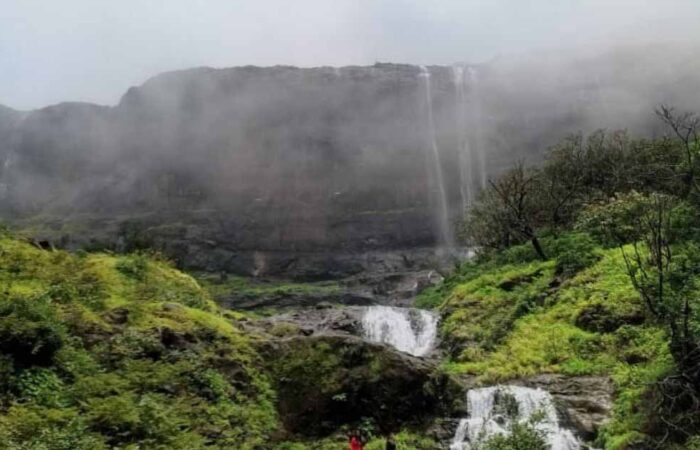 Aadrai Jungle Trek